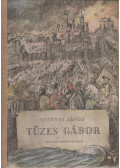 Vitányi János - Tüzes Gábor
