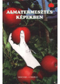 Molnár Lajos,Csepeli József - Almatermesztés képekben