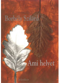 Borbély Szilárd - Ami helyet
