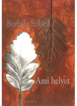 Borbély Szilárd - Ami helyet Borbély Szilárd - Ami helyet, Pécs 1999 antikvár könyv