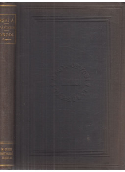 Irsai Artúr, dr. - Útmutató a gége és orrtükrözésben különös tekintettel a gyakorló orvosok és orvostanhallgatók igényeire, Budapest 1893 antikvár könyv