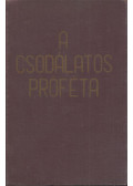 Zeiner Alajos - A csodálatos próféta I. kötet: A megdicsőült Emberfia
