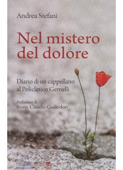 Andrea Stefani - Nel mistero del dolore, Milano 2021 antikvár könyv