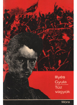 Illyés Gyula - Tűz vagyok... Illyés Gyula - Tűz vagyok..., Budapest 1971 antikvár könyv
