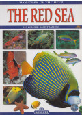 Andrea Ghisotti - The Red Sea