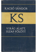 Kacsó Sándor - Virág alatt, iszap fölött