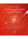 Salinger Richárd - Az élet megoldó képlete a gyakorlatban