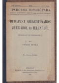 Csizik Gyula - Budapest székesfőváros multjából és jelenéből