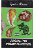 Ignácz Rózsa - Argentína viharszünetben