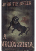 John Steinbeck - A mohos szikla