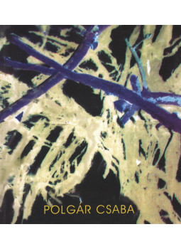  - Polgár Csaba, Szombathely 2007 antikvár könyv