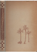 Nicolaus Benjamin Richter - Unvergessliche Sahara