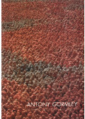 Néray Katalin - Antony Gormley