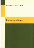 Dr. Lénárt Szilvia,Németh Márta - Esélyegyenlőség