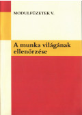Dr. Lénárt Szilvia,Kisgyörgy Sándor - A munka világának ellenőrzése