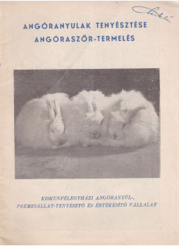 - Angóranyulak tenyésztése