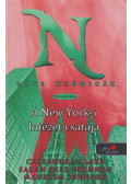 Maureen Johnson,BRENNAN, SARAH REES,Cassandra Clare - A New York-i Intézet csatája