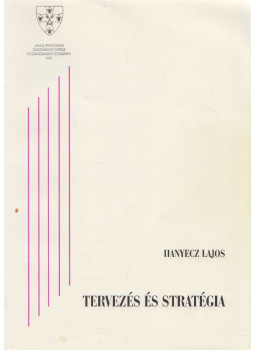 Hanyecz Lajos - Tervezés és stratégia, Pécs 1995 antikvár könyv