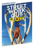 Gödrösi Ádám - Street workout flow