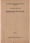 Tóti Magda,Varga László - Szervezési példatár
