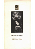 Ferencz Zsuzsanna - Sok a fal
