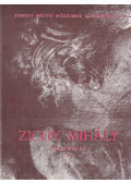 Bényi László - Zichy Mihály emlékmúzeum, Zala