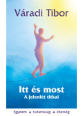 Váradi Tibor - Itt és most