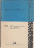 Váczi Mária,Kállainé dr. Thildy Teréz,Gubányi Lászlóné - Példák a költségvetési szervek számviteléhez