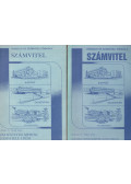 Kállainé dr. Thildy Teréz - Költségvetési szervek számvitele I-II.