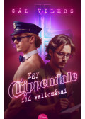 Gál Vilmos - Egy Chippendale-fiú vallomásai