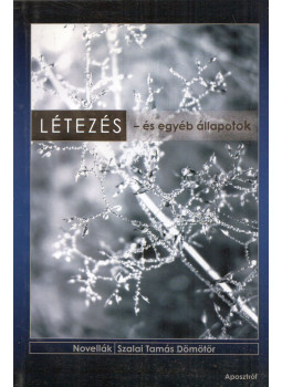 Szalai Tamás Dömötör - Létezés - és egyéb állapotok Szalai Tamás Dömötör - Létezés - és egyéb állapotok, Budapest 2009 antikvár könyv