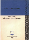 Tompa Miklós - Vagyon-, vállalatértékelés