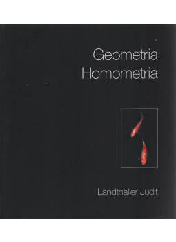 Landthaller Judit, Csaba Györgyné - Geometria - Homometria, Budapest 2010 antikvár könyv