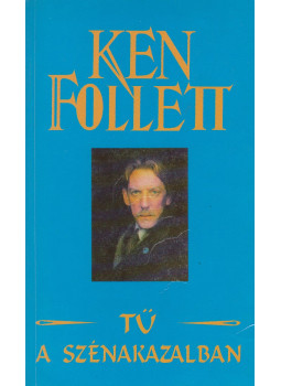 Ken Follett - Tű a szénakazalban Ken Follett - Tű a szénakazalban, Budapest 1994 antikvár könyv