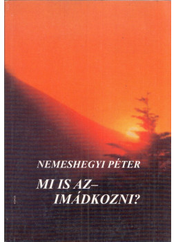 Nemeshegyi Péter - Mi is az - imádkozni? Nemeshegyi Péter - Mi is az - imádkozni?, Kecskemét 2009 antikvár könyv