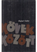 Hajnal Gábor - Kövek között