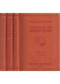 Hermann Voss,Robert Herrlinger - Taschenbuch der Anatomie I-III.