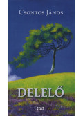 Csontos János - Delelő