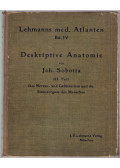 Sobotta J. - Atlas der deskriptiven Anatomie des Menschen III.
