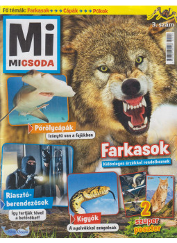 Peter Simon - Mi micsoda 3. szám Peter Simon - Mi micsoda 3. szám, Stuttgart 2020 antikvár könyv