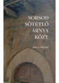Murray, John J. - Sorsod sötétlő árnya közt