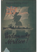 Taprell Dorling - Verdammte Nordsee!