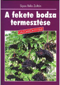 Sipos Béla Zoltán - A fekete bodza termesztése