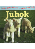 Christina Wilsdon - Juhok