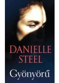 Danielle Steel - Gyönyörű