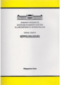 Székely Vladimir - Képfeldolgozás