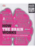 Kate Taylor,Hannah Westlake,Jamie Ambrose,Camilla Hallinan,Nathan Joyce - How the brain works