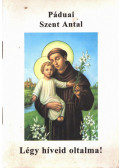 Kerekes József - Páduai Szent Antal