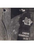 Gink Károly,Tillai Ernő - A magyar fotoművészet 125 éve