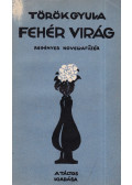Török Gyula - Fehér virág